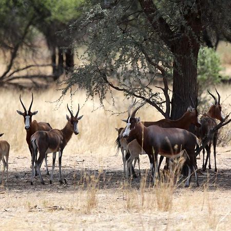 فيلا Otjisazu Guest Farm Khorusepa المظهر الخارجي الصورة